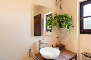 a bathroom with a sink and a mirror and a plant at La Matrice in Garlenda +16 photos