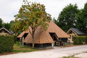 ein Haus mit einem Baum mit orangefarbenen Blüten in der Unterkunft Camping Groenpark in Zele