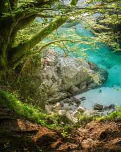 a blue pool of water next to a rocky shore at Holiday Home Katja in Srpenica