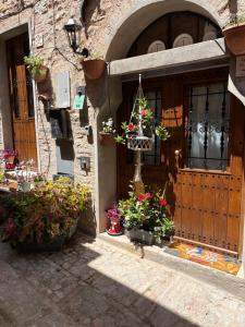 an entrance to a building with potted plants in front at Casa Paola in Spello