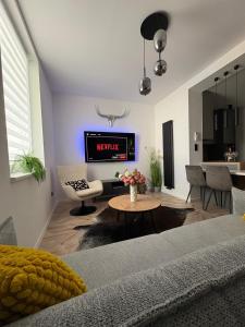 a living room with a couch and a tv at LUX 3 bedroom apartman in Trenčín