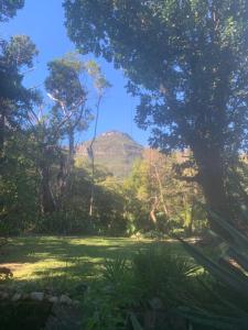 a view of a mountain through the trees at Hospedaria Quintal dos Sonhos in Vale do Capao