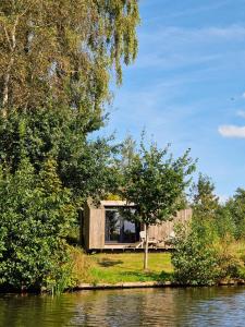 a small house on the shore of a lake at Tiny house De Ljip in Westergeest +8 photos