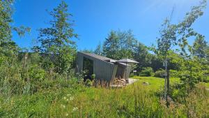 a small shed in a field of tall grass at Tiny House De Skries in Westergeest