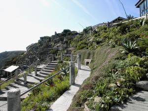 a set of stairs leading up a hill with plants at Chy-Vean in Madron