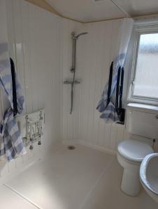 a bathroom with a shower and a toilet and a sink at Robin hood rhyl Ll18 3uu in Rhyl