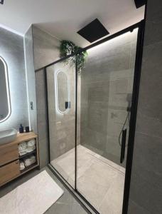a bathroom with a shower with a glass door at LUX 3 bedroom apartman in Trenčín +18 photos