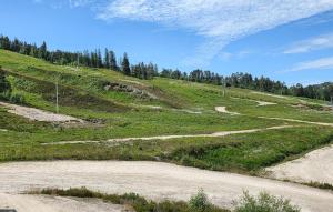 a dirt road on top of a hill with trees at Gorgeous Apartment In Drangedal in Drangedal