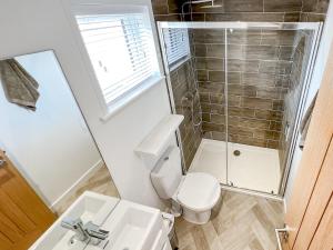 a bathroom with a toilet and a sink and a mirror at St Mabyn Lodge Escape in Bodmin +4 photos