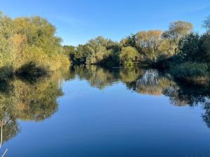 a river with trees reflecting in the water at Margaret's in Brigham