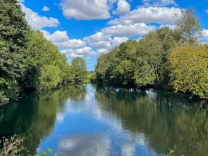 a river with trees and clouds in the sky at Margaret's in Brigham