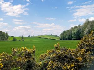 a green field with trees and clouds in the sky at Smiddy Cottage in Alyth