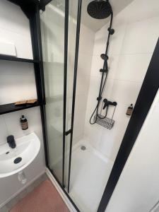 a shower with a glass door next to a sink at Karlštejn 34 in Karlštejn +57 photos