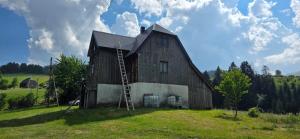 a barn with a ladder on the side of it at Macanovic Country House in Glibaći