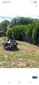 a picnic table in a field of grass at Gîte teyssonniere in Usson-en-Forez