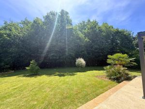a garden with trees and grass with a beam of light at La Parenthèse de Quantilly in Quantilly +2 photos