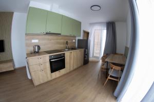 a kitchen with green cabinets and a wooden floor at Lebeco Apartman in Kolárovo +6 photos