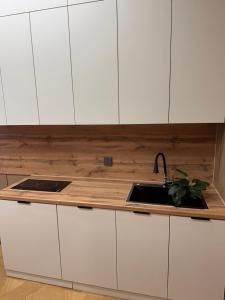 a kitchen with white cabinets and a sink at Zarya in Ölgiy