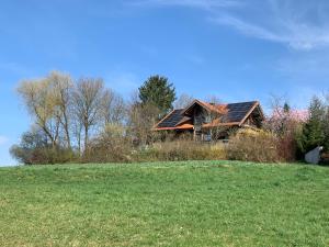 a house sitting on top of a green field at Ruhige Wohnung im Grünen Lichtenwald in Thomashardt