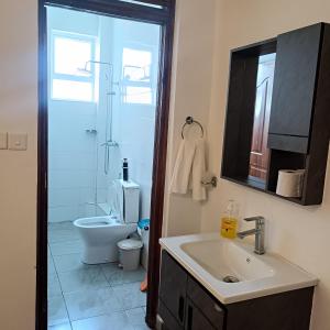 a bathroom with a sink and a toilet and a mirror at Zurilyn Crib in Malindi