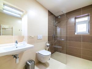 a bathroom with a toilet and a sink and a shower at Apartmány Superior Vila Věra in Rožnov pod Radhoštěm +13 photos
