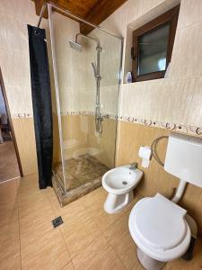 a bathroom with a shower and a toilet and a sink at Cabana 84 in Beclean +29 photos