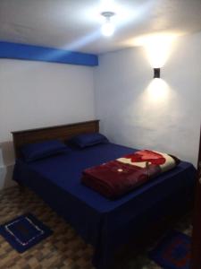a bedroom with a bed with blue sheets and a light at RK Guest in Nanu Oya