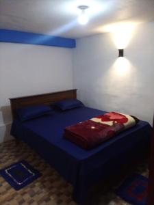 a bedroom with a bed with blue sheets and a light at RK Guest in Nanu Oya