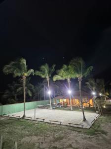 a group of palm trees on a beach at night at Pousada Costa do Sol in Canavieiras