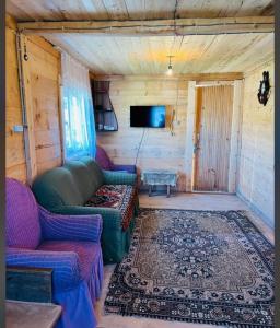 a living room with two couches and a tv at David traditional Oda in Shuakhevi