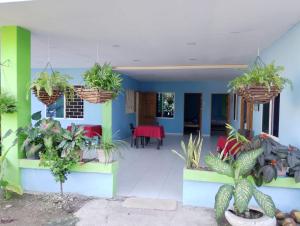 a porch with plants in baskets and a table at Villa faty in Coveñas +3 photos