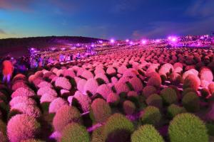 a large crowd of people in a field of plants at KAMENOI HOTEL Itako in Itako