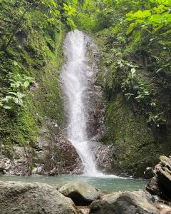 a waterfall in the middle of a river at The Forest Cabin in Parrita