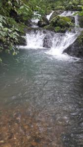 a stream of water with a waterfall at The Forest Cabin in Parrita +4 photos