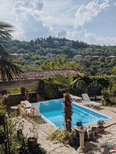 a swimming pool with a view of a mountain at Mate Guesthouse in Sighnaghi