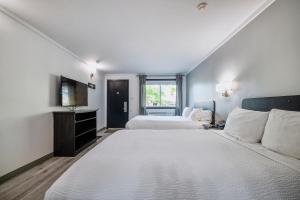 a large white bedroom with a bed and a television at Motel Newstar Laval in Laval