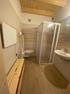 a bathroom with a shower and a toilet and a sink at Malga Valmaggiore in Bellamonte
