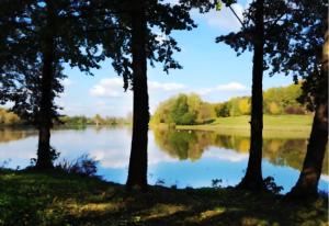 a view of a lake through trees at Jakabhegy vendégház in Szenna +9 photos