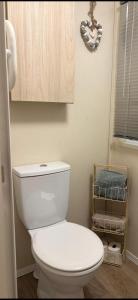 a bathroom with a white toilet and a wooden cabinet at Dotties Den at Sunnysands in Llanddwywe