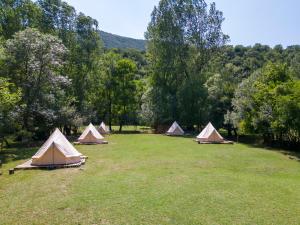 a group of tents in a field with trees at Divlji Mir in Dobro Polje