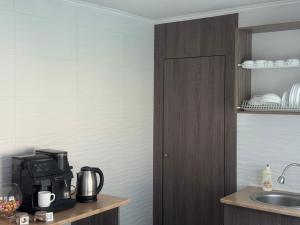 a kitchen with a sink and a coffee maker on a counter at Медовий сон in Pasichna