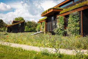 a house with a green roof and a field of flowers at OplooPark Forrest Villa in Oploo