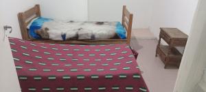 a dog laying on a chair in a room at Yuntasuma II in San Fernando del Valle de Catamarca