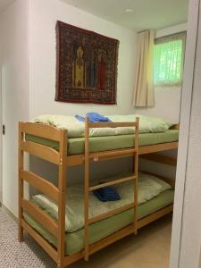 a room with two bunk beds in it at Padiglione Castagneto in Castasegna