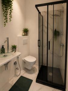a bathroom with a shower and a toilet and a sink at Leonardo Loft in Filettino