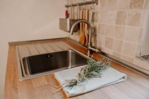 a kitchen sink with a plant sitting on a counter at Casa del Bosco in Rubiana