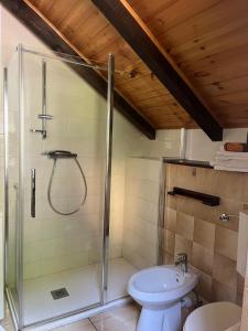 a bathroom with a shower and a toilet at la Mansarda dello Zio in Ceppo Morelli +9 photos