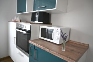 a kitchen with a counter with a microwave on it at Ferienwohnung Talblick Wilthen in Wilthen