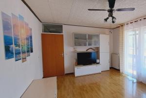 a living room with a television and a ceiling fan at Biba House in Tolmin