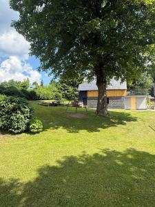 a tree in the middle of a field with a building at Chalet Galla in Horní Blatná